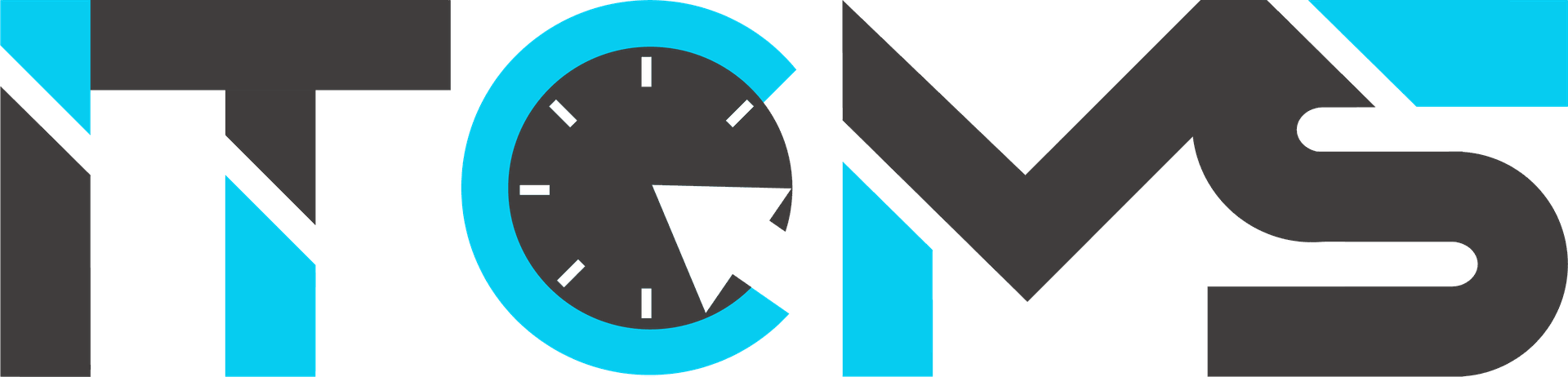 IT Conseil Management & Services